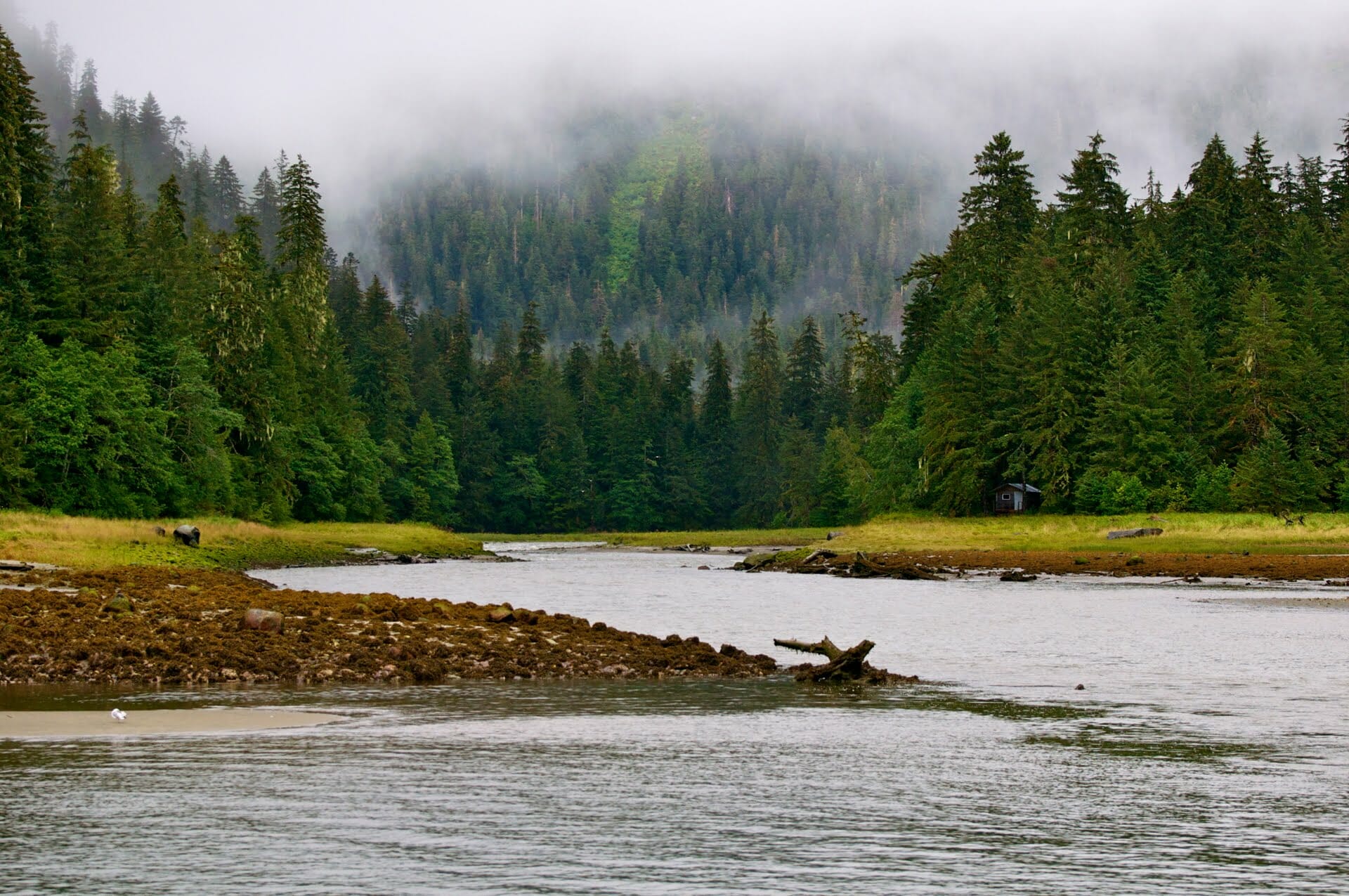 Brim River Hot Springs Protected Area | Coast Funds