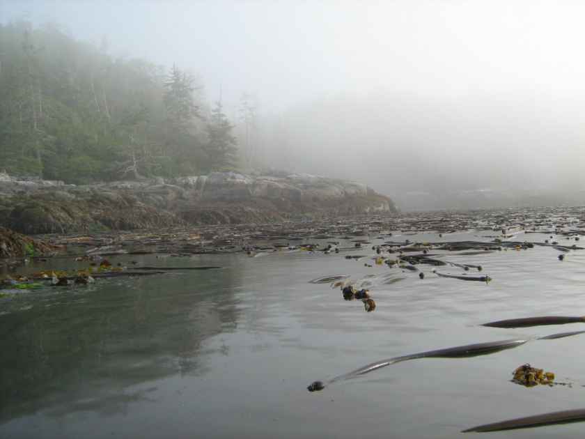 Mahpahkum-Ahkwuna Deserters-Walker Conservancy