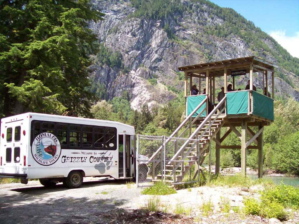 The wildlife-viewing platforms and tour bus are designed to keep both bears and guests safe while providing unparalelled wildlife viewing opportunities. Photo Credit Homalco Wildlife Tours. 