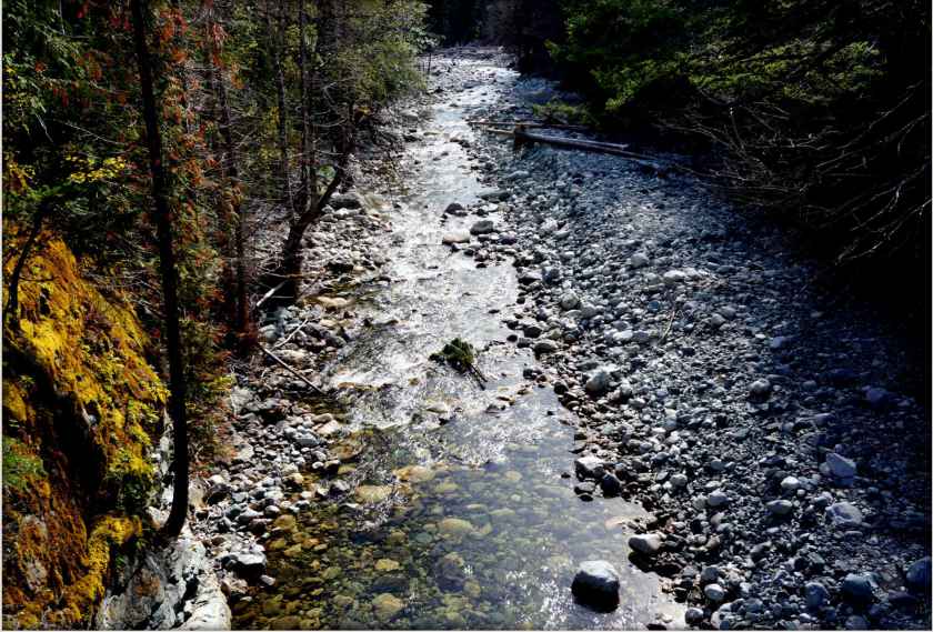 Burnt Bridge Creek. Photo by Wallace Howe.