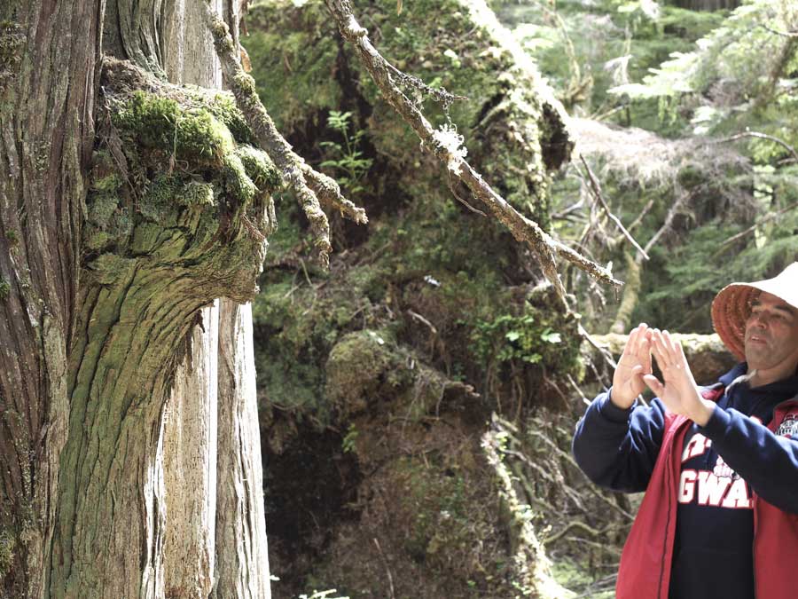 A Haida guide explains the traditional harvesting process of bark next to a culturally modified tree. The forests in their territory have always had high cultural, ecological, and social significance to the Haida Nation.