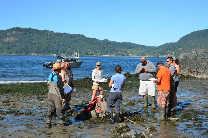 Eelgrass research provides a baseline for understanding how development may affect the patch size and health of this important marine resource. Photo by Scott Harris for <a href="http://www.nanwakolas.com">Nanwakolas Council Society</a>.