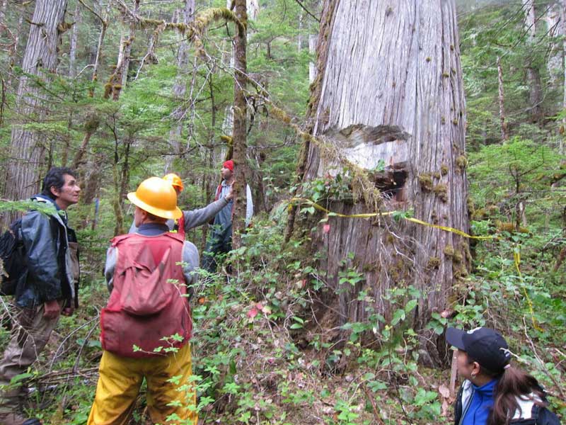 HIRMD is working proactively with industry to develop resource use agreements. This engasgement protects the Heiltsuk's important cultural resources and ecological areas while creating a more certain and efficient proposal process for their industry partners. Photo by <a href="http://www.hirmd.ca/">HIRMD</a>.