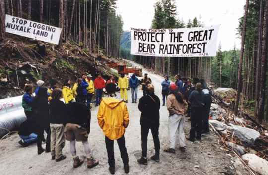 Nuxalkmc protest on Ista (King Island) in 1997 over unsustainable logging practices that were not supported by the Nuxalk First Nation. Photo by Ivan Hunter.