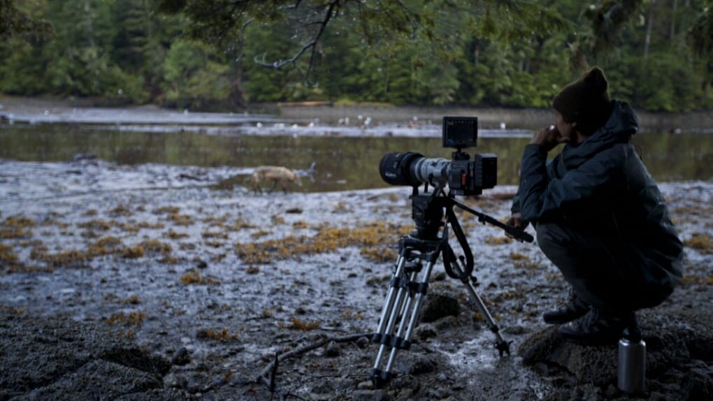 Filmmakers have partnered with First Nations to provide an unprecedented look at one of B.C.'s most beautiful, raw regions: The Great Bear Rainforest. The film features grizzlies, wolves, whales and the famed Kermode or "spirit" bear, and will also focus on local First Nations and how they interact with the land. (Courtesy Pacific Wild)
