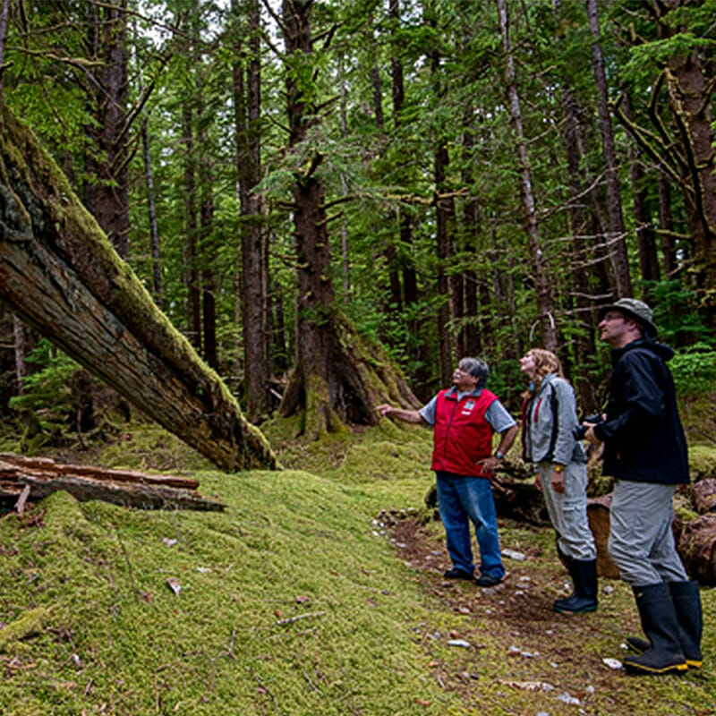 25 Years of Co-Management in Gwaii Haanas | Coast Funds