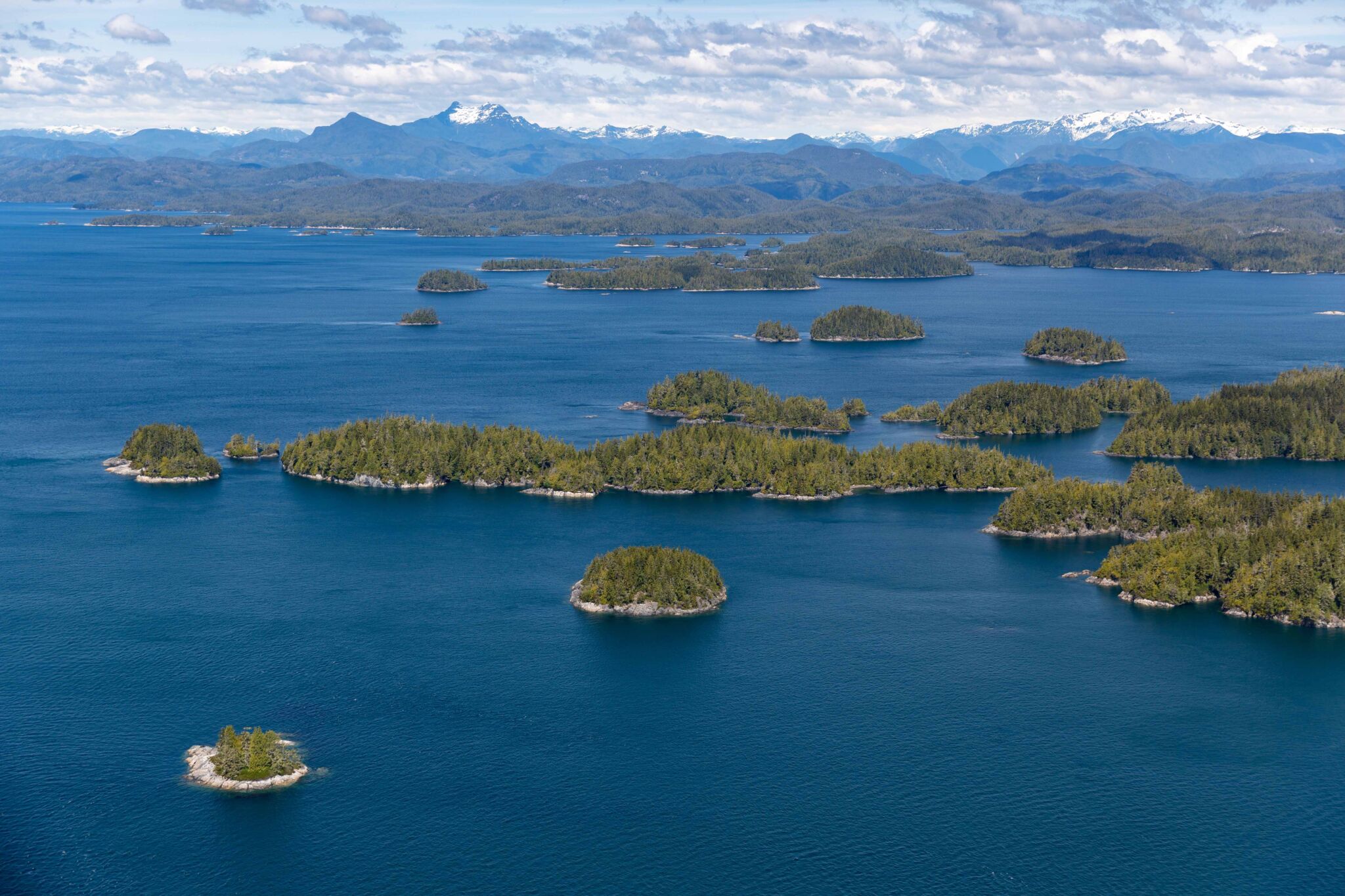 Province of B.C. partners with Kwikwasut’inuxw Haxwa’mis First Nation