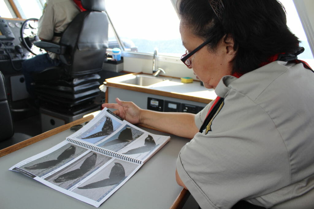 woman in boat checks a book with photos of whale fins