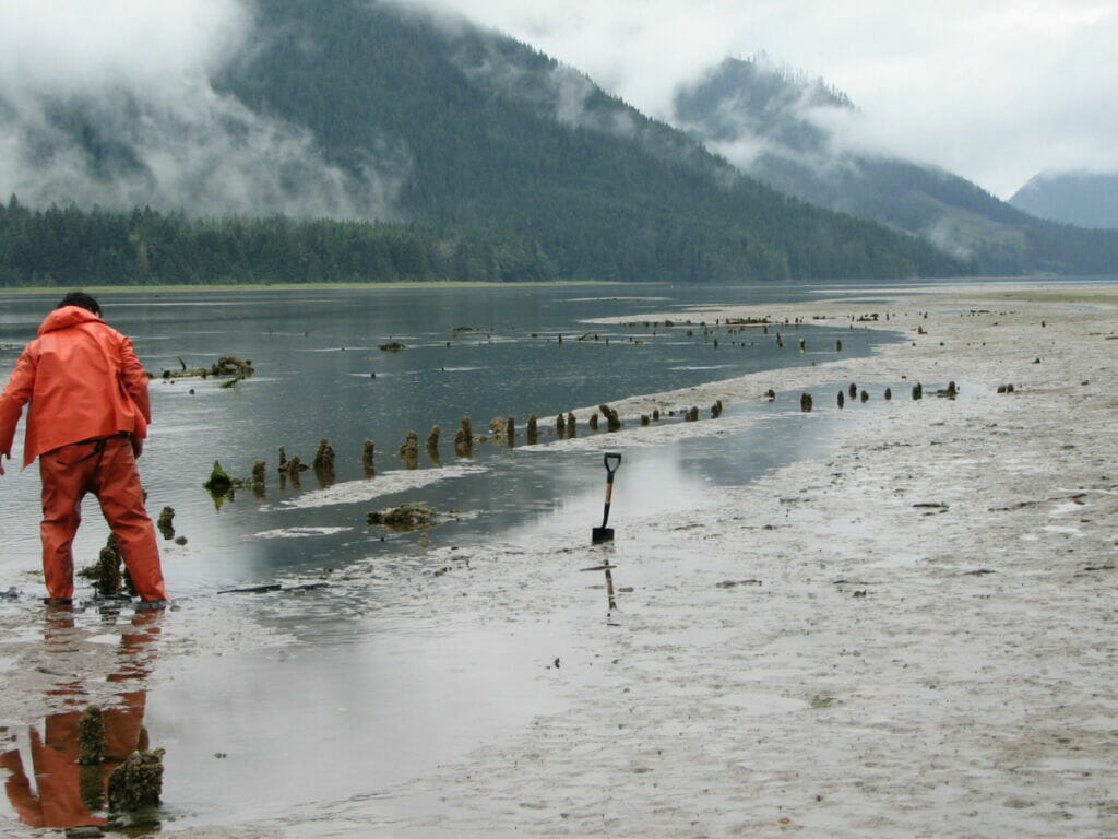 person in high-vis gear walks past wooden posts standing along a shoreline