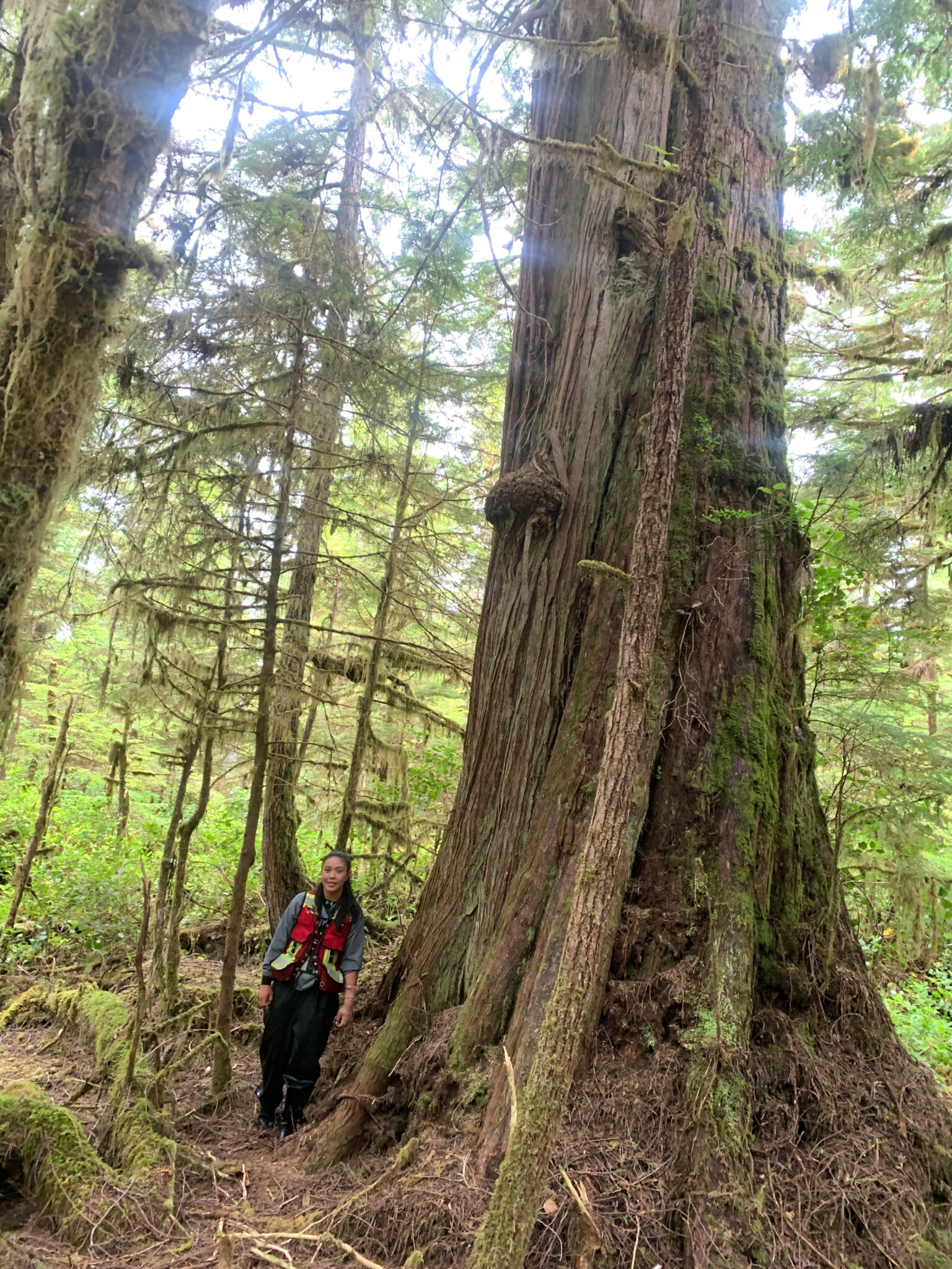 A Feather In The Forest: Haida Researchers Race To Protect Endangered 