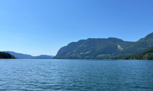 tree-covered mountains, viewed from the water, with patchy sections where logging has taken place.