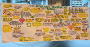 A photograph of a large paper chart full of handwritten and drawn teachings from the Indigenous Conservation Forum. The artist has written down specific information and paired the information with drawings of related items. For example, a topic 'Governance' is accompanied by a drawing of a crown.