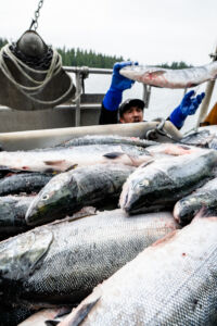 Through their partnership with NCSFNSS, Aero Trading provides ice for Ts’msyen fishers and a fair price for sockeye. (Photo: Troy Moth / Coast Funds)