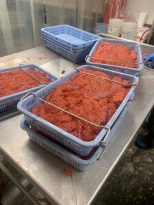 In tandem with the dual-commercial fishery program, NCSFNSS has partnered with local processors to prepare and sell ikura (salmon) roe. (Photo: NCSFNSS)