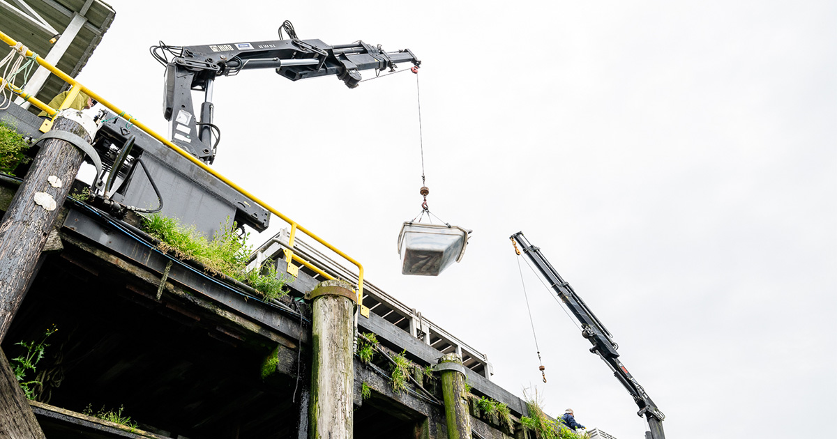 “For thousands of years, [Ts’msyen] people went out and caught fish to trade and share with their families and store food,” says Angela Addison. “They would have just called it fishing – they wouldn’t have separated it.” (Photo: Troy Moth / Coast Funds)