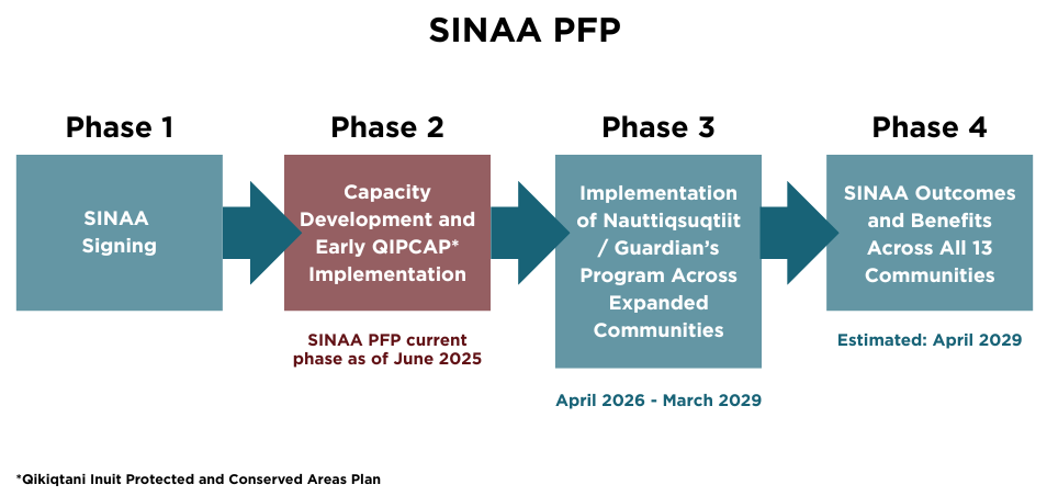 A graphic image representing the different phases of the SINAA PFP. Phase 1: SINAA signing. Phase 2: Capacity development and early QIPCAP implementation. Phase 3: Implementation of Nauttiqsustiit / Guardian programs across expanded communities. Phase 4: SINAA outcomes and benefits for all 13 communities. 