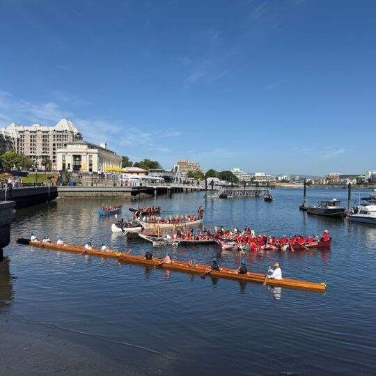 Seven canoes gather together at the corner of a harbour. They are positioned to face a large group of people who are gathered on the land. The people in the canoe are holding paddles carved with beautiful designs. In this photo, you can see that the people in the canoe are speaking to the people on the land.