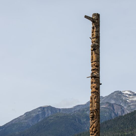 The top half of a totem pole in the village of Gitwinksihlkw.