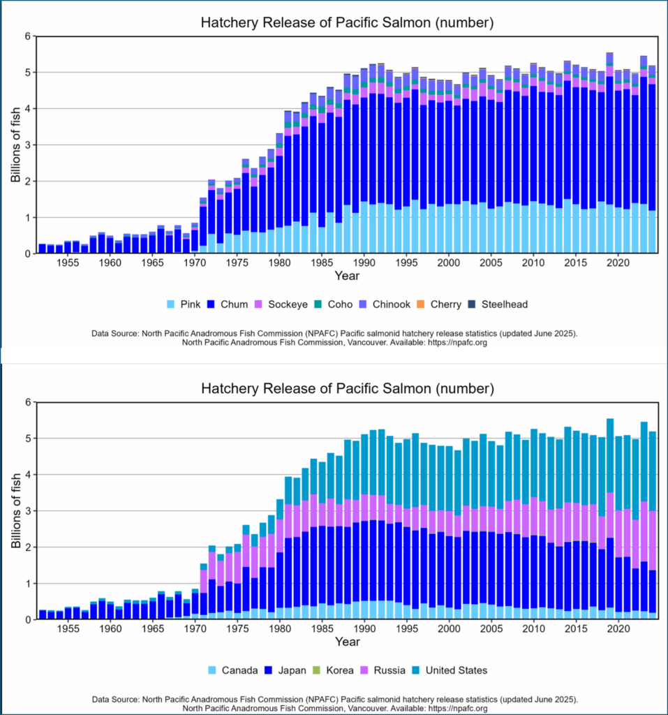 These charts show hatchery releases by species and countries from 1970 to 2024.
