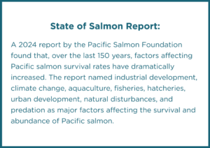 A 2024 report by the Pacific Salmon Foundation found that, over the last 150 years, factors affecting Pacific salmon survival rates have dramatically increased. The report named industrial development, climate change, aquaculture, fisheries, hatcheries, urban development, natural disturbances, and predation as major factors affecting the survival and abundance of Pacific salmon.