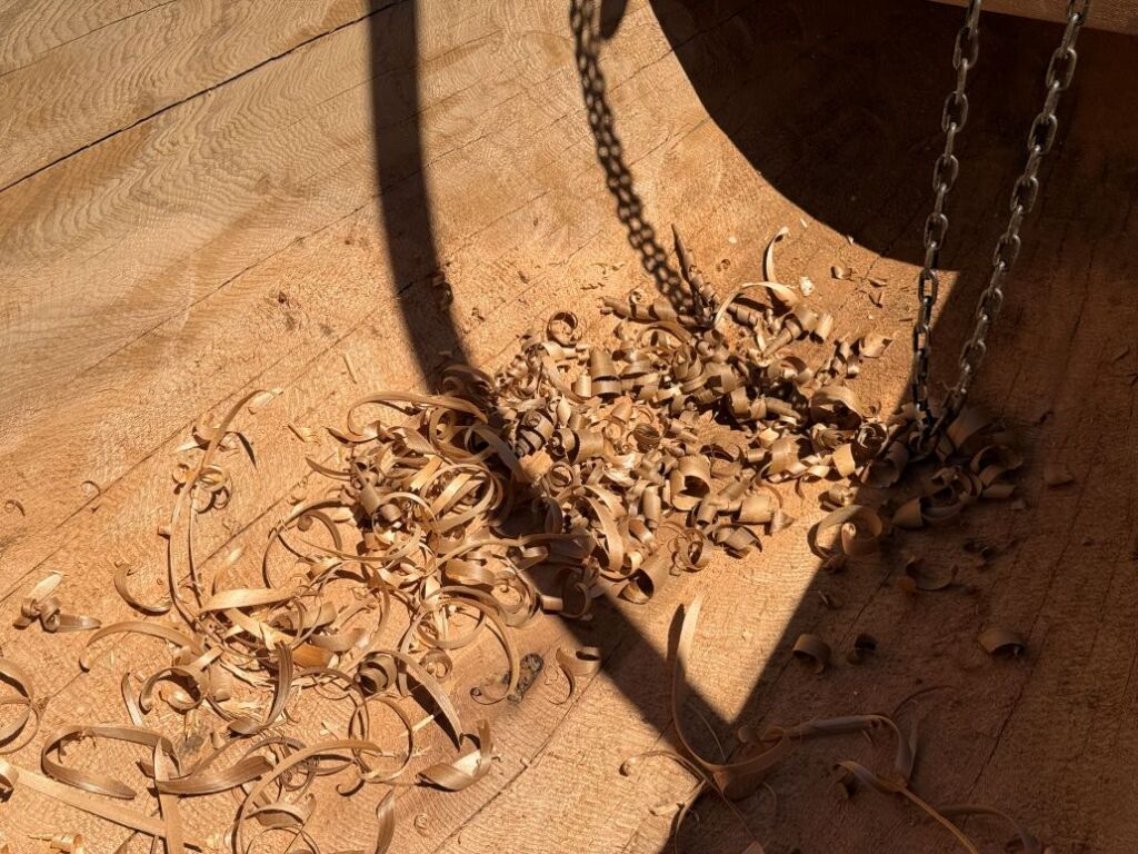Wood shavings have fallen into the belly of the canoe while it is being carved. The shavings have coiled into little spirals.
