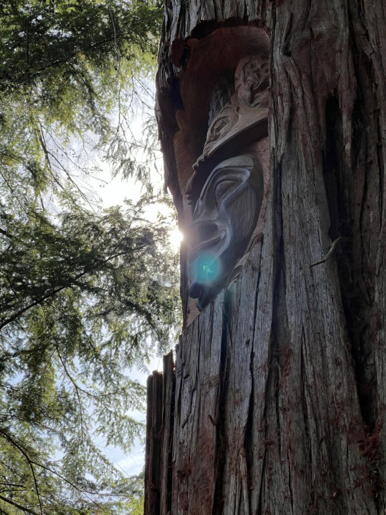 A close up of the tree carving, the sun is shining behind the face of the female figure.