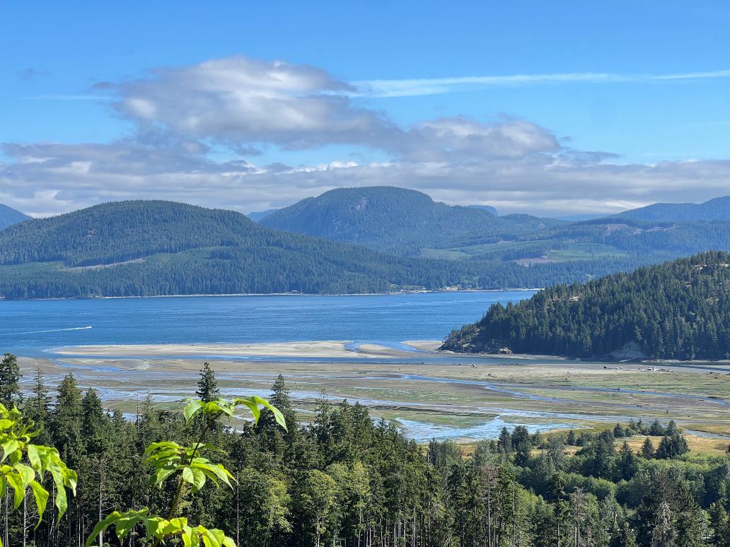 A view from a mountain: in the foreground we see trees and bushes, below is a view of a large sandy waterway making up an estuary. Behind the estuary is a sea channel and mountains in the distance. Soft clouds touch the mountain tops.