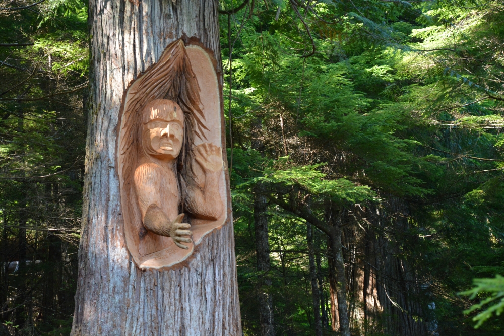 The tree carving of the wild man. The carving is lit up by light filtering through the trees.