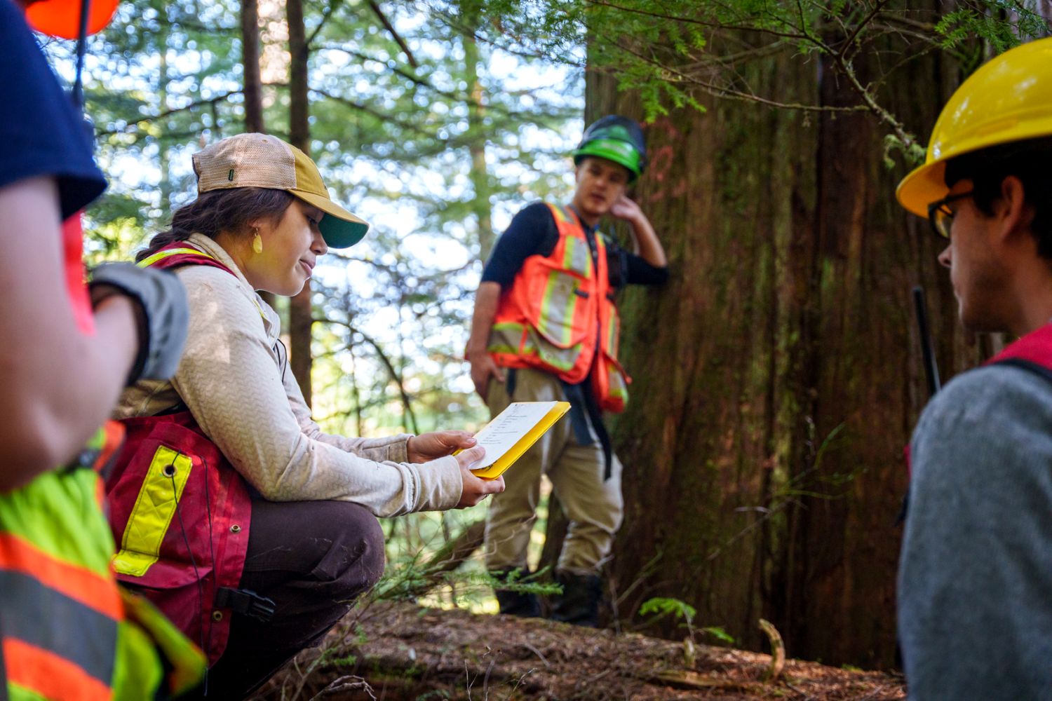 Three Guardians surround a Nanwakolas staff member who is holding papers and talking. Behind them is a very large cedar. They are in a forest.
