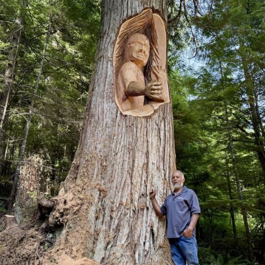 Carver See-wees Max Chickite stands before a living carving of a wild man. The tree is 35 metres tall and surrounded by lush old growth. Max stands to the right of the tree and is wearing a blue shirt and jeans. About a metre above his head is a carving of a wild man, carved into the red cedar tree.