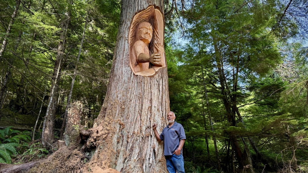 Carver See-wees Max Chickite stands before a living carving of a wild man. The tree is 35 metres tall and surrounded by lush old growth. Max stands to the right of the tree and is wearing a blue shirt and jeans. About a metre above his head is a carving of a wild man, carved into the red cedar tree.